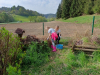 IMG_20250422_091306
